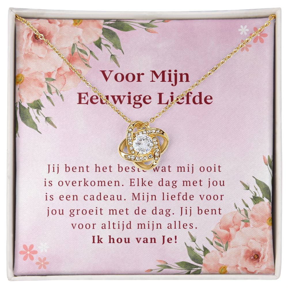 Voor Mijn Eeuwige Liefde 1