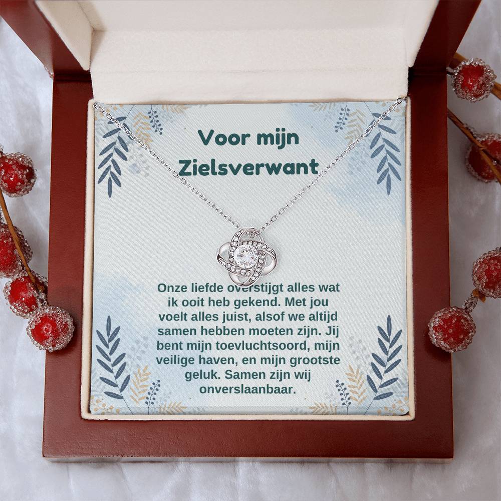 Voor mijn Zielsverwant 2