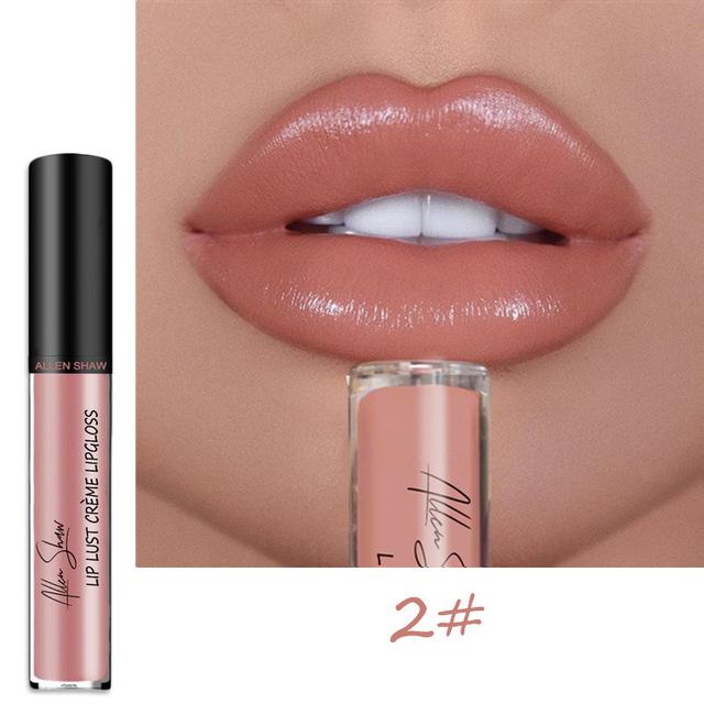 12 Color Waterproof Long Lasting Moist Lip Gloss Plumper Liquid Lipstick