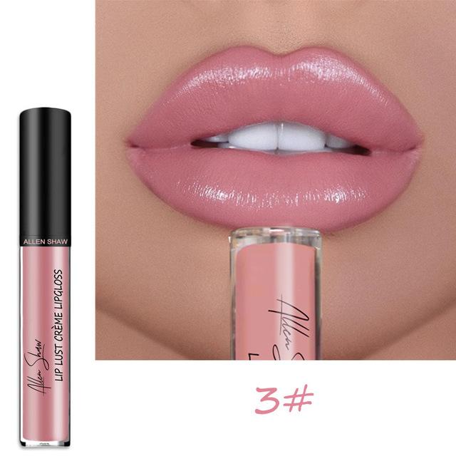 12 Color Waterproof Long Lasting Moist Lip Gloss Plumper Liquid Lipstick