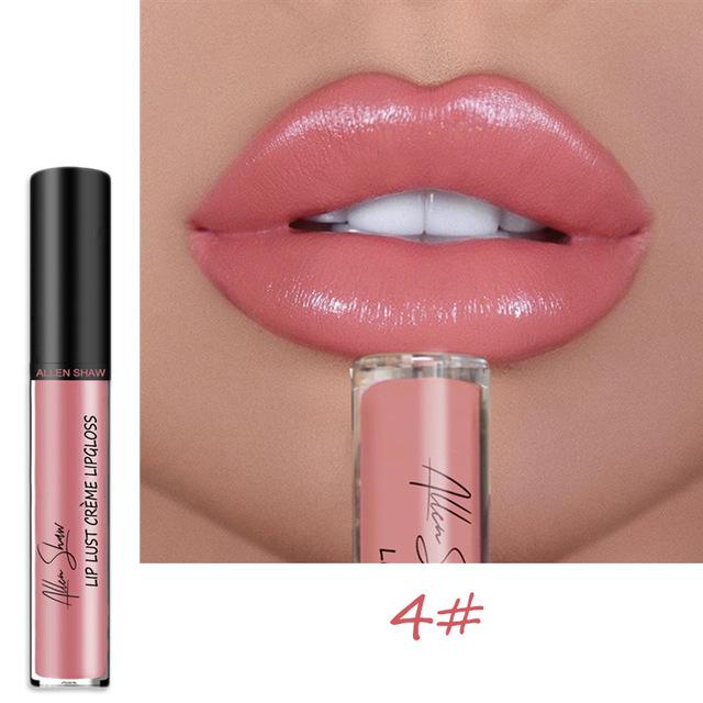 12 Color Waterproof Long Lasting Moist Lip Gloss Plumper Liquid Lipstick