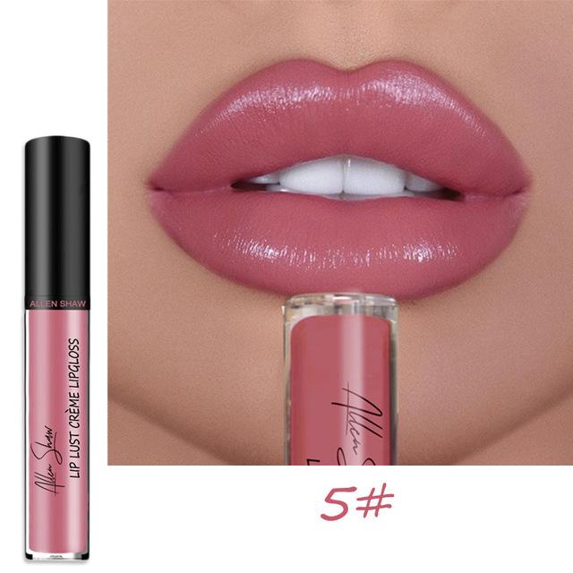 12 Color Waterproof Long Lasting Moist Lip Gloss Plumper Liquid Lipstick