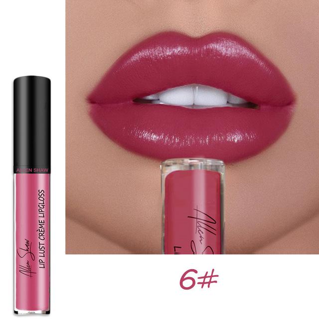 12 Color Waterproof Long Lasting Moist Lip Gloss Plumper Liquid Lipstick