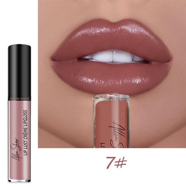 12 Color Waterproof Long Lasting Moist Lip Gloss Plumper Liquid Lipstick