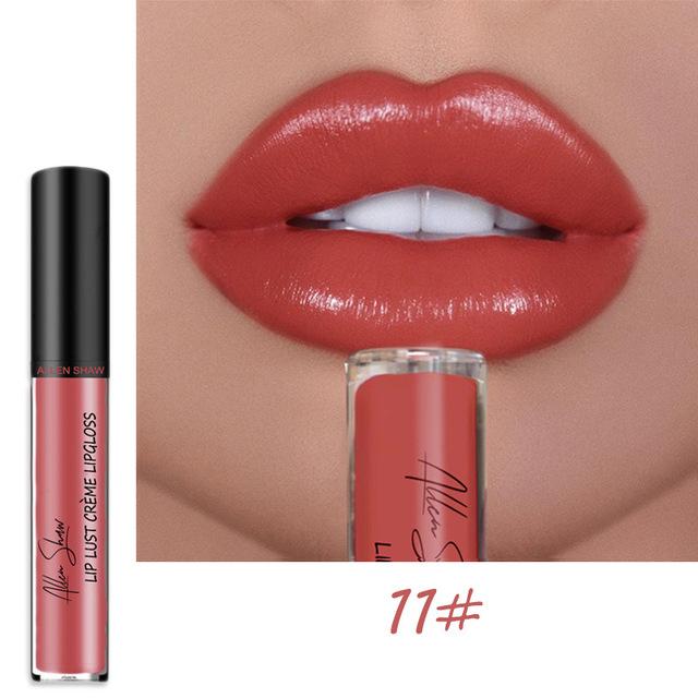 12 Color Waterproof Long Lasting Moist Lip Gloss Plumper Liquid Lipstick