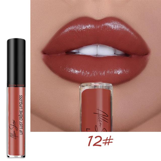 12 Color Waterproof Long Lasting Moist Lip Gloss Plumper Liquid Lipstick