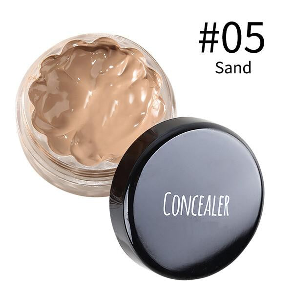 Popular Waterproof Concealer Foundation