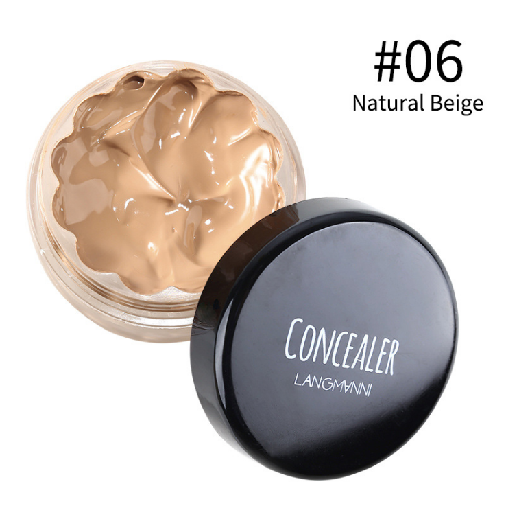 Popular Waterproof Concealer Foundation