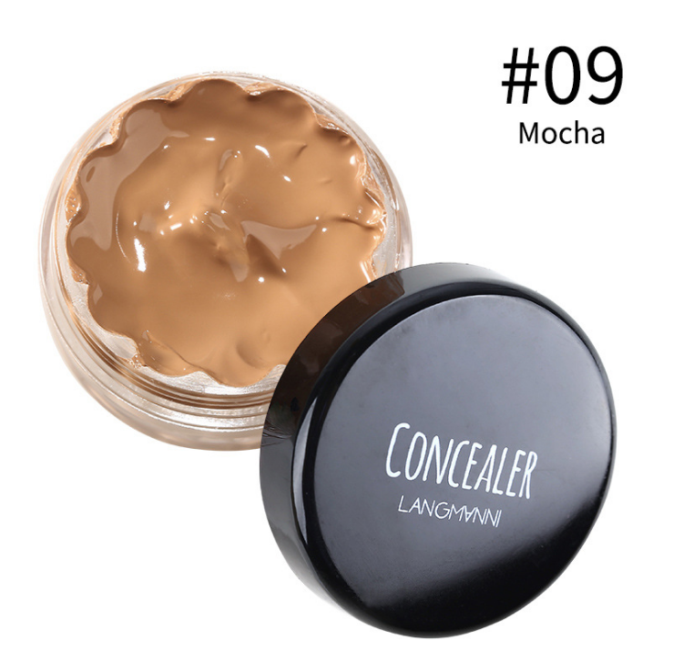 Popular Waterproof Concealer Foundation